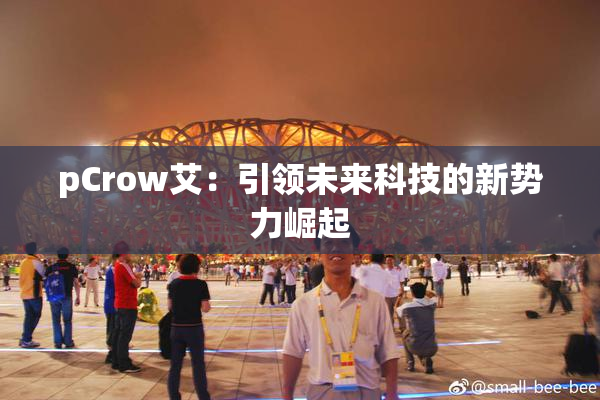 pCrow艾：引领未来科技的新势力崛起