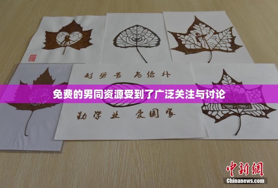 免费的男同资源受到了广泛关注与讨论
