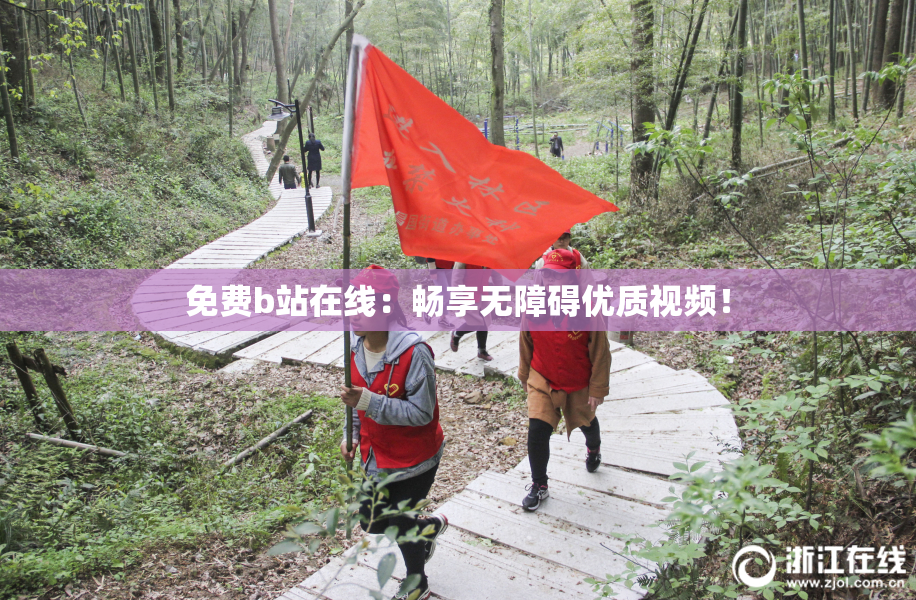 免费b站在线：畅享无障碍优质视频！