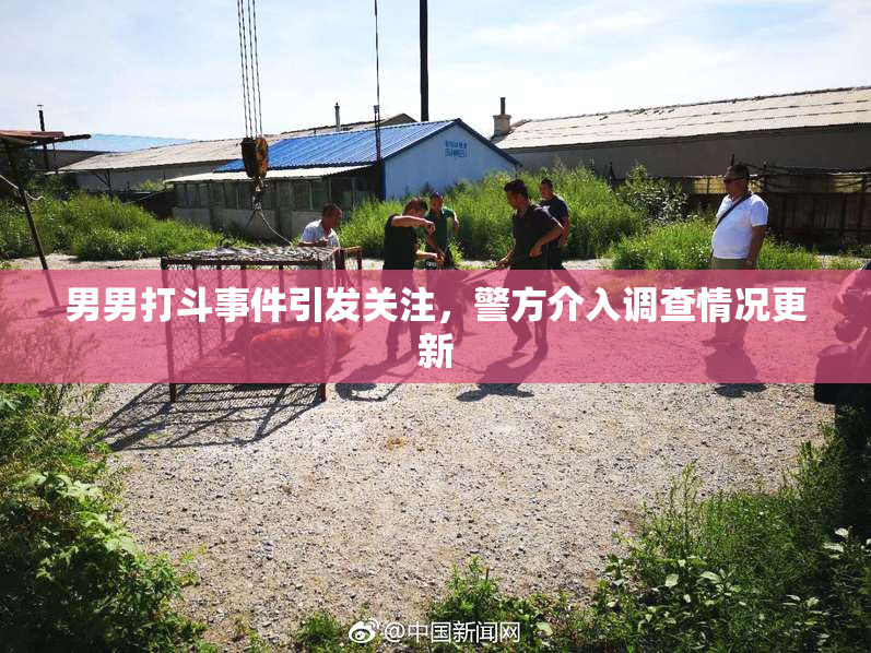 男男打斗事件引发关注，警方介入调查情况更新
