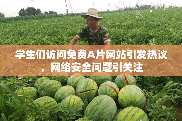 学生们访问免费A片网站引发热议，网络安全问题引关注