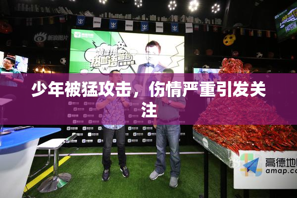 少年被猛攻击，伤情严重引发关注
