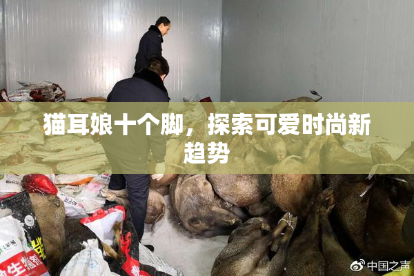猫耳娘十个脚，探索可爱时尚新趋势