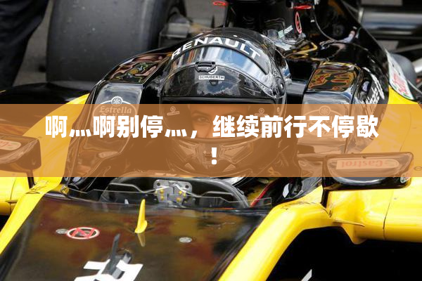 啊灬啊别停灬，继续前行不停歇！