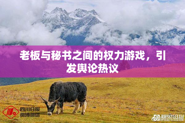老板与秘书之间的权力游戏，引发舆论热议