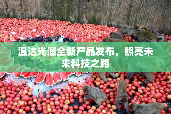 温达光溜全新产品发布，照亮未来科技之路