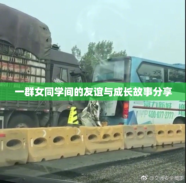 一群女同学间的友谊与成长故事分享