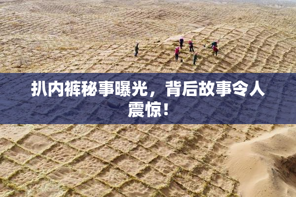 扒内裤秘事曝光，背后故事令人震惊！