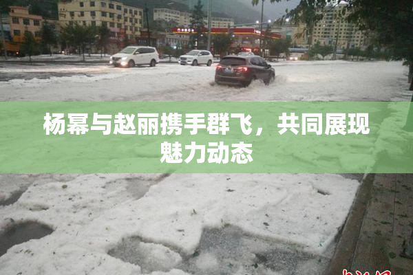 杨幂与赵丽携手群飞，共同展现魅力动态