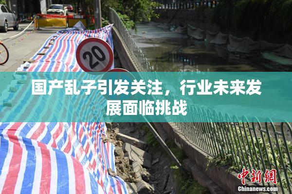 国产乱子引发关注，行业未来发展面临挑战