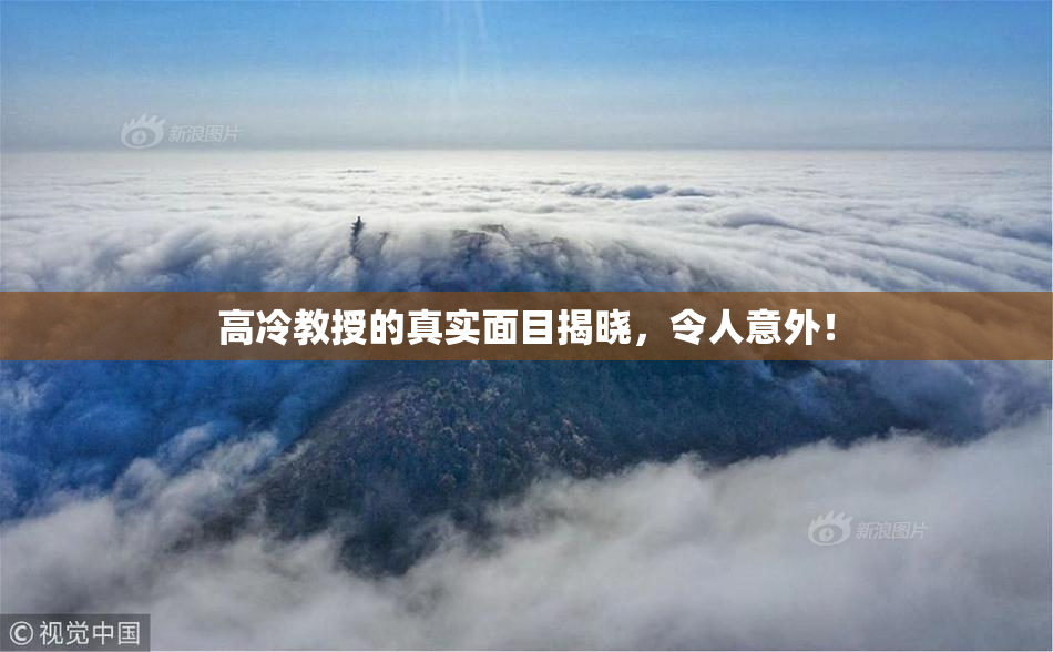高冷教授的真实面目揭晓，令人意外！