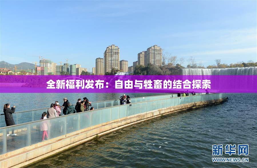 全新福利发布：自由与牲畜的结合探索