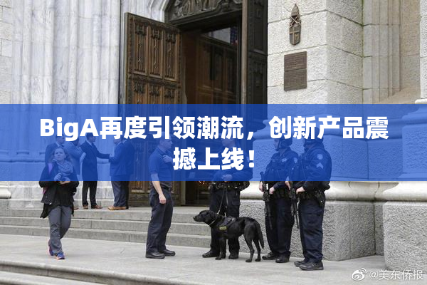 BigA再度引领潮流，创新产品震撼上线！