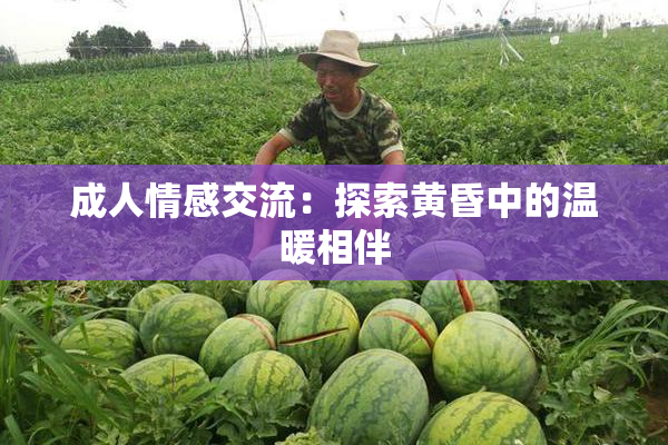 成人情感交流：探索黄昏中的温暖相伴