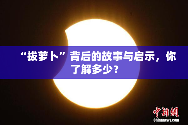 “拔萝卜”背后的故事与启示，你了解多少？