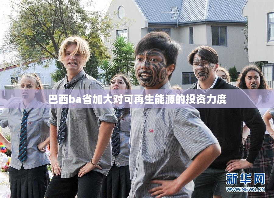巴西ba省加大对可再生能源的投资力度