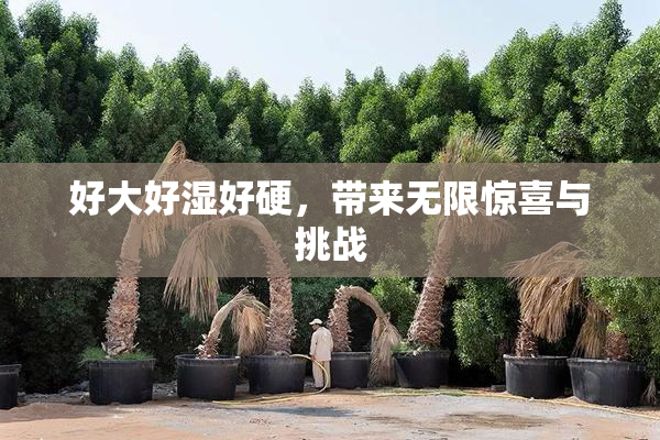 好大好湿好硬，带来无限惊喜与挑战