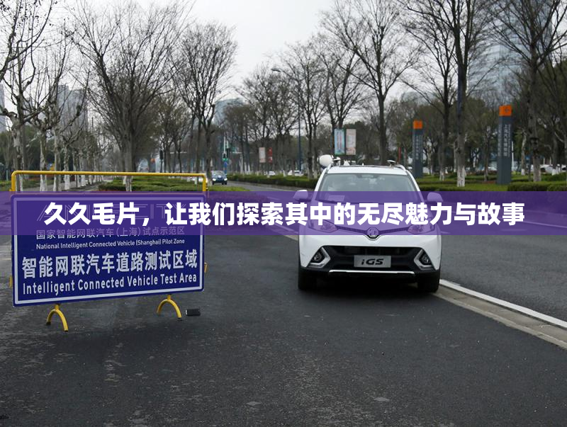 久久毛片，让我们探索其中的无尽魅力与故事