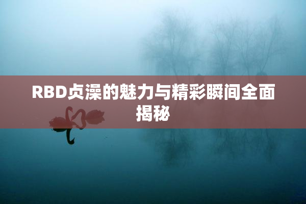 RBD贞澡的魅力与精彩瞬间全面揭秘