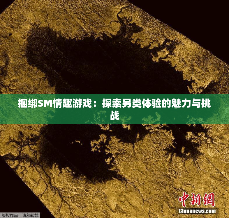 捆绑SM情趣游戏：探索另类体验的魅力与挑战