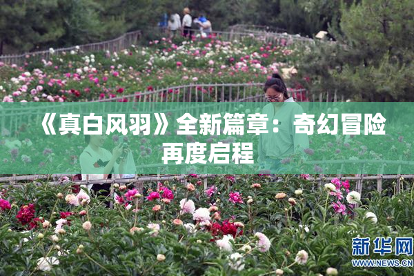 《真白风羽》全新篇章：奇幻冒险再度启程