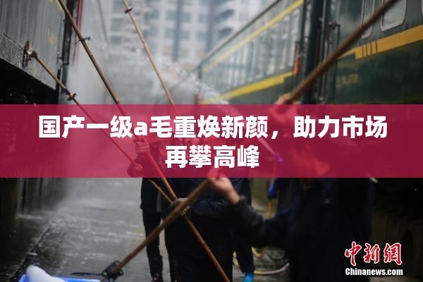 国产一级a毛重焕新颜，助力市场再攀高峰