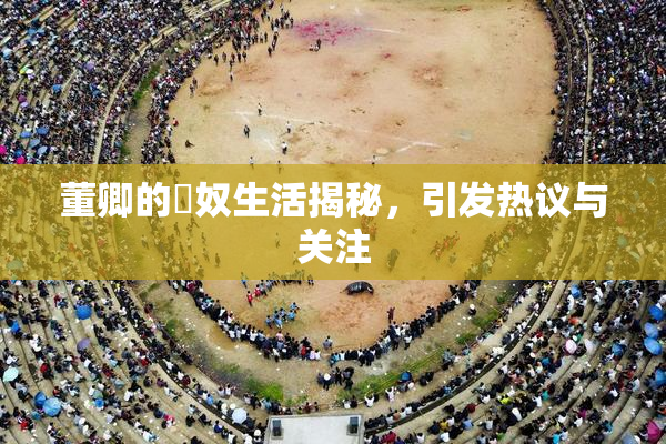董卿的婬奴生活揭秘，引发热议与关注