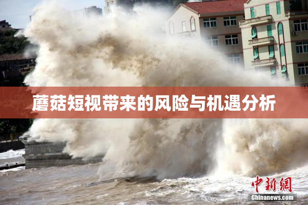 蘑菇短视带来的风险与机遇分析