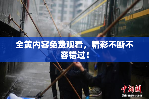 全黄内容免费观看，精彩不断不容错过！