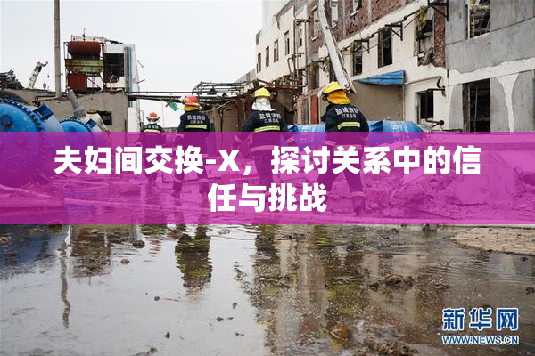 夫妇间交换-X，探讨关系中的信任与挑战