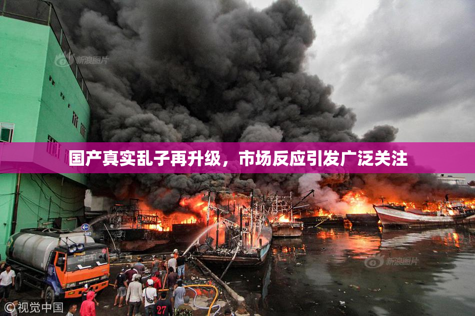 国产真实乱子再升级，市场反应引发广泛关注