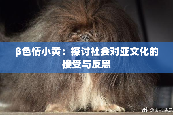 β色情小黄：探讨社会对亚文化的接受与反思