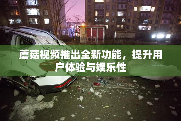 蘑菇视频推出全新功能，提升用户体验与娱乐性
