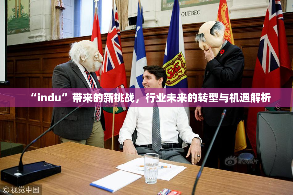 “indu”带来的新挑战，行业未来的转型与机遇解析