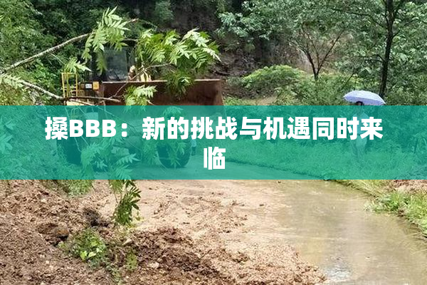 搡BBB：新的挑战与机遇同时来临