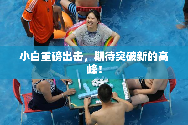 小白重磅出击，期待突破新的高峰！