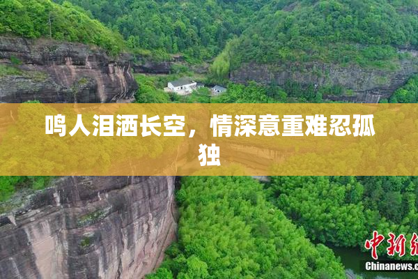鸣人泪洒长空，情深意重难忍孤独