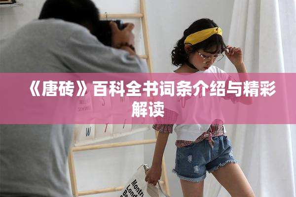 《唐砖》百科全书词条介绍与精彩解读