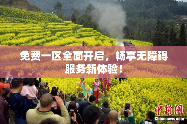 免费一区全面开启，畅享无障碍服务新体验！