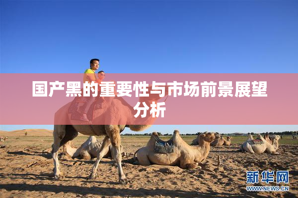 国产黑的重要性与市场前景展望分析
