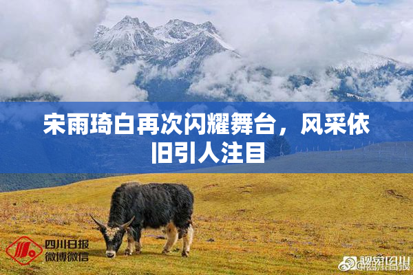 宋雨琦白再次闪耀舞台，风采依旧引人注目