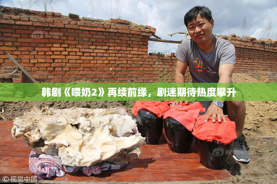 韩剧《喂奶2》再续前缘，剧迷期待热度攀升