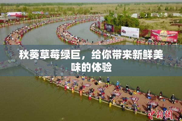 秋葵草莓绿巨，给你带来新鲜美味的体验