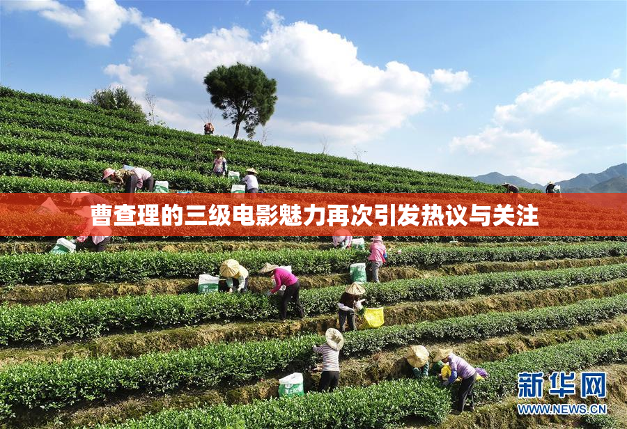 曹查理的三级电影魅力再次引发热议与关注