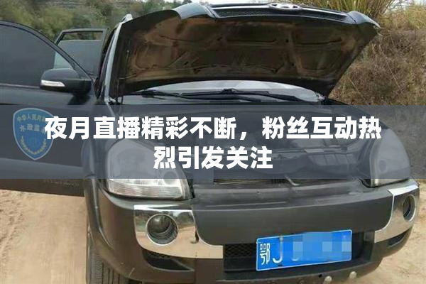 夜月直播精彩不断，粉丝互动热烈引发关注