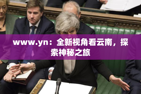 www.yn：全新视角看云南，探索神秘之旅