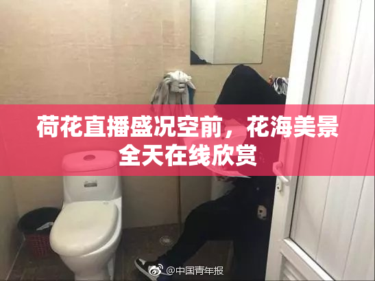 荷花直播盛况空前，花海美景全天在线欣赏