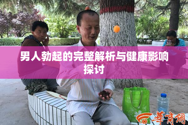 男人勃起的完整解析与健康影响探讨