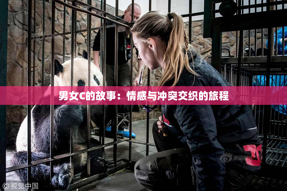 男女C的故事：情感与冲突交织的旅程
