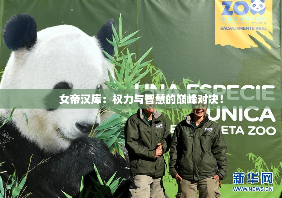 女帝汉库：权力与智慧的巅峰对决！